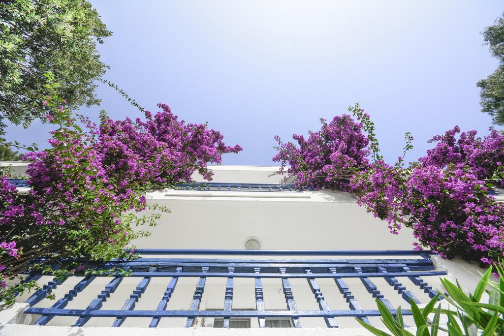 Club Blue White All Inclusive Turgutreis Exterior foto